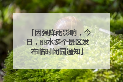 因强降雨影响，今日，丽水多个景区发布临时闭园通知