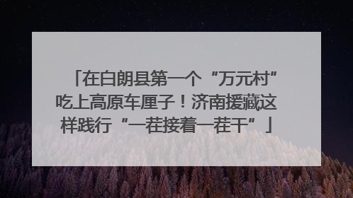在白朗县第一个“万元村”吃上高原车厘子！济南援藏这样践行“一茬接着一茬干”