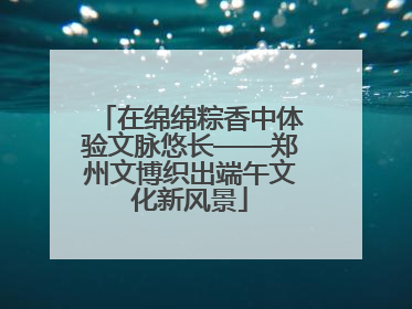 在绵绵粽香中体验文脉悠长——郑州文博织出端午文化新风景