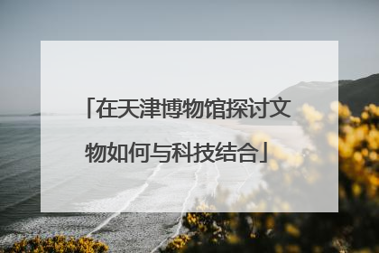 在天津博物馆探讨文物如何与科技结合