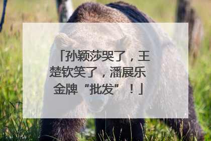孙颖莎哭了，王楚钦笑了，潘展乐金牌“批发”！