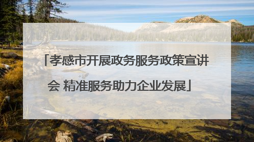 孝感市开展政务服务政策宣讲会 精准服务助力企业发展