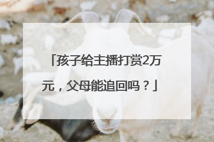 孩子给主播打赏2万元，父母能追回吗？
