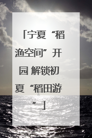 宁夏“稻渔空间”开园 解锁初夏“稻田游”