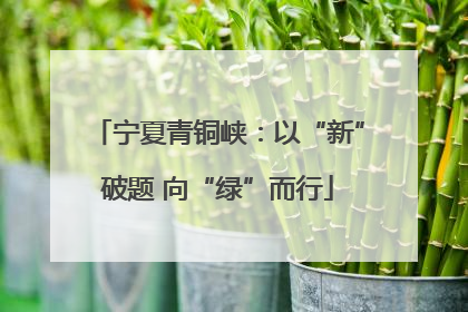 宁夏青铜峡：以“新”破题 向“绿”而行