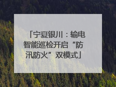 宁夏银川：输电智能巡检开启“防汛防火”双模式
