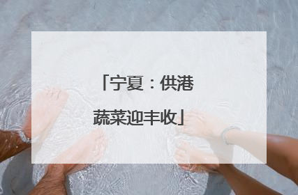 宁夏：供港蔬菜迎丰收