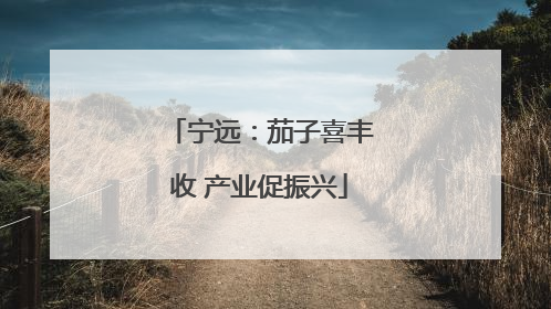 宁远：茄子喜丰收 产业促振兴