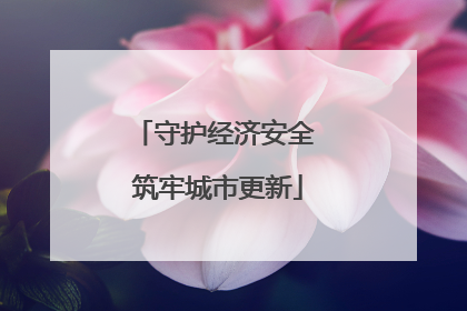 守护经济安全 筑牢城市更新