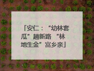 安仁：“幼林套瓜”趟新路 “林地生金”富乡亲