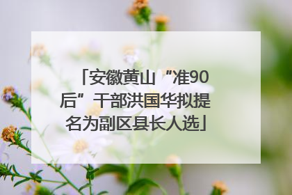 安徽黄山“准90后”干部洪国华拟提名为副区县长人选