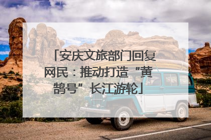 安庆文旅部门回复网民：推动打造“黄鹄号”长江游轮