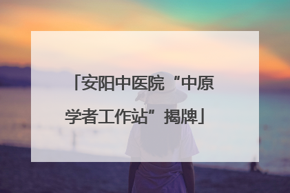 安阳中医院“中原学者工作站”揭牌