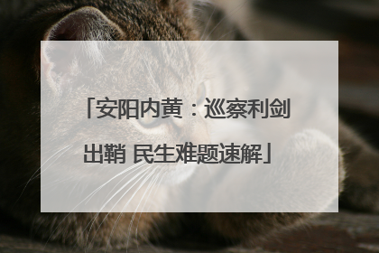 安阳内黄：巡察利剑出鞘 民生难题速解