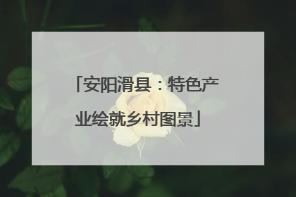 安阳滑县：特色产业绘就乡村图景