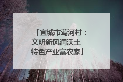 宜城市莺河村：文明新风润沃土 特色产业富农家