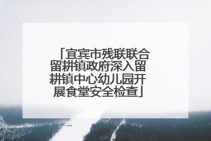 宜宾市残联联合留耕镇政府深入留耕镇中心幼儿园开展食堂安全检查