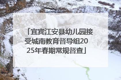 宜宾江安县幼儿园接受城南教育督导组2025年春期常规督查