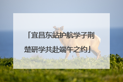 宜昌东站护航学子荆楚研学共赴端午之约