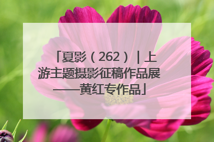 夏影（262）｜上游主题摄影征稿作品展——黄红专作品