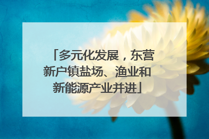 多元化发展，东营新户镇盐场、渔业和新能源产业并进