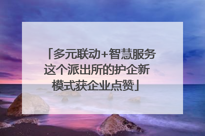 多元联动+智慧服务 这个派出所的护企新模式获企业点赞