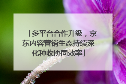 多平台合作升级，京东内容营销生态持续深化种收协同效率