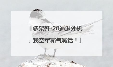 多架歼-20逼退外机，我空军霸气喊话！