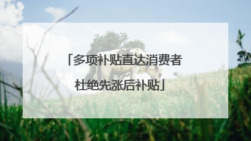 多项补贴直达消费者 杜绝先涨后补贴