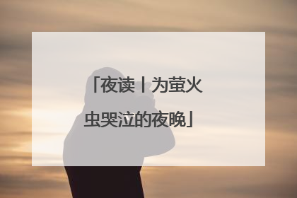 夜读丨为萤火虫哭泣的夜晚