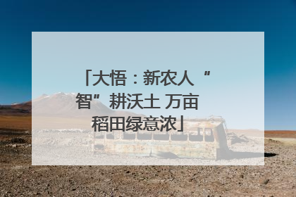 大悟：新农人“智”耕沃土 万亩稻田绿意浓