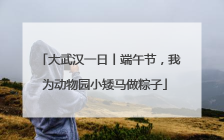 大武汉一日丨端午节，我为动物园小矮马做粽子