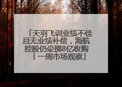 天羽飞训业绩不佳且无业绩补偿，海航控股仍豪掷8亿收购丨一周市场观察