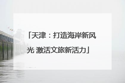 天津：打造海岸新风光 激活文旅新活力