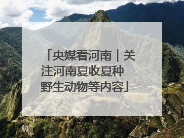 央媒看河南｜关注河南夏收夏种 野生动物等内容