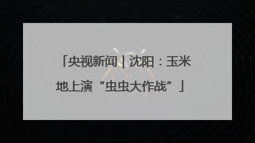 央视新闻｜沈阳：玉米地上演“虫虫大作战”