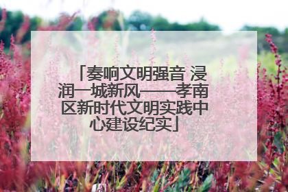 奏响文明强音 浸润一城新风——孝南区新时代文明实践中心建设纪实