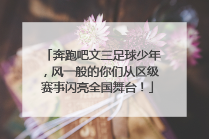 奔跑吧文三足球少年，风一般的你们从区级赛事闪亮全国舞台！