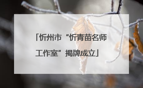 忻州市“忻青苗名师工作室”揭牌成立