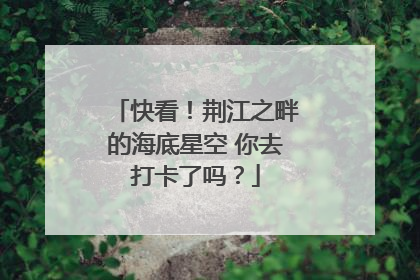快看！荆江之畔的海底星空 你去打卡了吗？