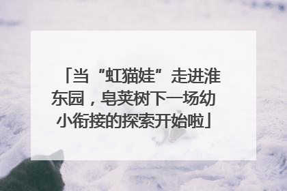 当“虹猫娃”走进淮东园，皂荚树下一场幼小衔接的探索开始啦