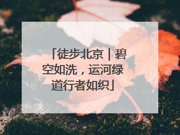 徒步北京｜碧空如洗，运河绿道行者如织