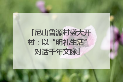 尼山鲁源村盛大开村：以“明礼生活”对话千年文脉