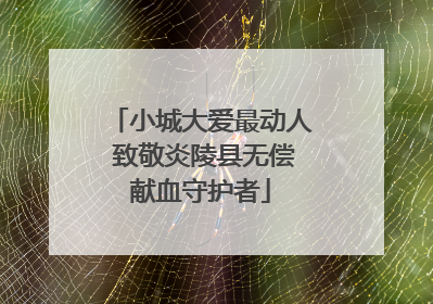 小城大爱最动人 致敬炎陵县无偿献血守护者