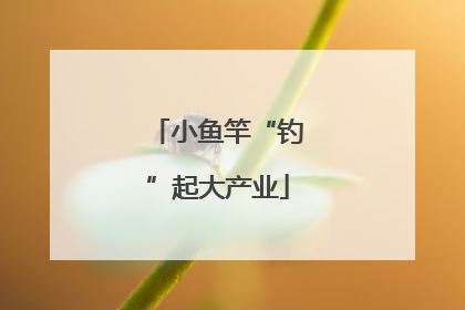 小鱼竿“钓”起大产业