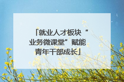 就业人才板块“业务微课堂”赋能青年干部成长