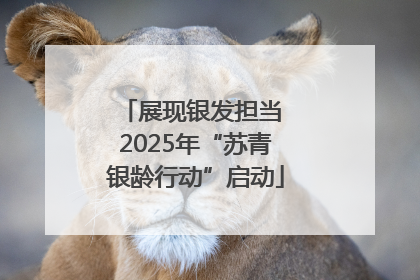 展现银发担当 2025年“苏青银龄行动”启动
