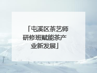屯溪区茶艺师研修班赋能茶产业新发展