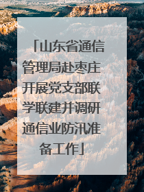 山东省通信管理局赴枣庄开展党支部联学联建并调研通信业防汛准备工作