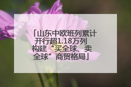 山东中欧班列累计开行超1.18万列 构建“买全球、卖全球”商贸格局